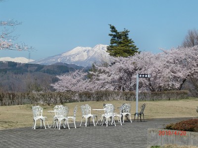 中野市立博物館 長野県 の情報 ウォーカープラス