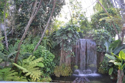 東京都夢の島熱帯植物館 臨時休館 東京都 の情報 ウォーカープラス