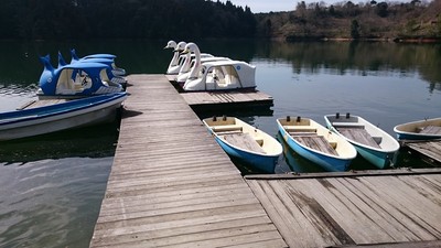 佐賀県立21世紀県民の森 総合案内センターほおのき 佐賀県 の情報 ウォーカープラス