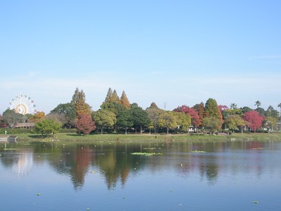 水前寺江津湖公園 熊本県 の情報 ウォーカープラス