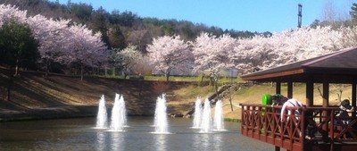 おかやまファーマーズマーケット ノースヴィレッジ 岡山県 の情報 ウォーカープラス