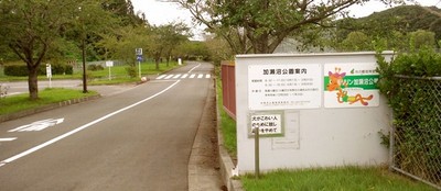 モリリン加瀬沼公園 宮城県 の情報 ウォーカープラス