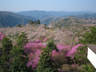 三休公園 岡山県 の情報 ウォーカープラス