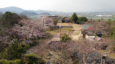 古城山公園 岡山県 の情報 ウォーカープラス 古城山公園 岡山県 の情報 ウォーカープラス