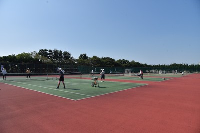 ふなばし三番瀬海浜公園 千葉県 の情報 ウォーカープラス