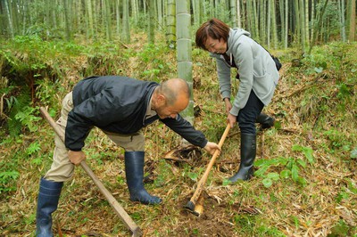 一条竹の子村 静岡県 の情報 ウォーカープラス