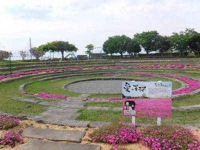 出水市ツル博物館クレインパークいずみ 鹿児島県 の情報 ウォーカープラス