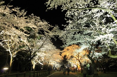 村松公園 新潟県 の情報 ウォーカープラス