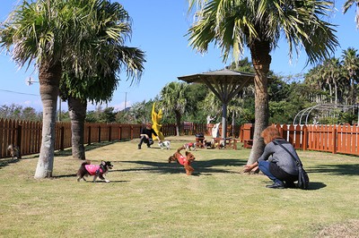 館山ファミリーパーク 閉園 千葉県 の情報 ウォーカープラス