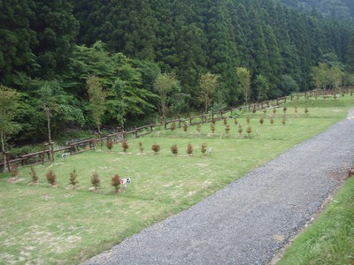 いわき市遠野オートキャンプ場 福島県 の情報 ウォーカープラス