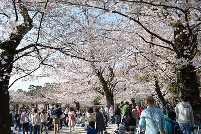 洗足池公園 東京都 の情報 ウォーカープラス