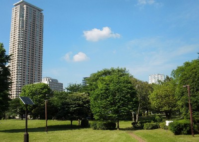 都立青山公園 東京都 の情報 ウォーカープラス