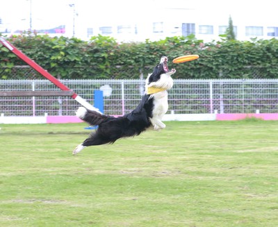 Ipcわんわん動物園 愛知県 の情報 ウォーカープラス