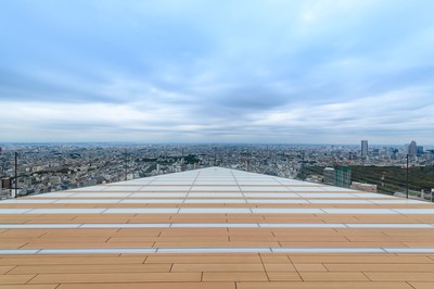 Shibuya Sky 渋谷スカイ 東京都 の情報 ウォーカープラス