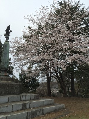 足利公園 栃木県 の情報 ウォーカープラス