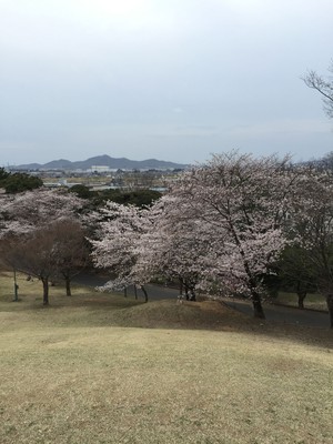 足利公園 栃木県 の情報 ウォーカープラス