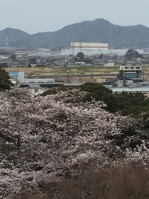 足利公園 栃木県 の情報 ウォーカープラス