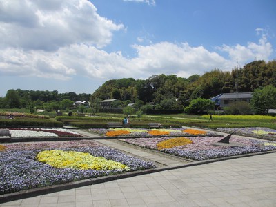 21世紀の森と広場 千葉県 の情報 ウォーカープラス