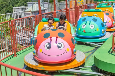 日本モンキーパーク 愛知県 の情報 ウォーカープラス