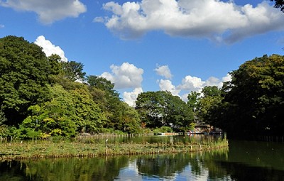善福寺公園 東京都 の情報 ウォーカープラス
