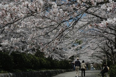 豊公園 滋賀県 の情報 ウォーカープラス