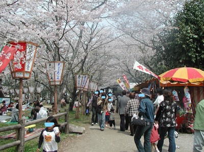 臼杵公園 臼杵城跡 大分県 の情報 ウォーカープラス