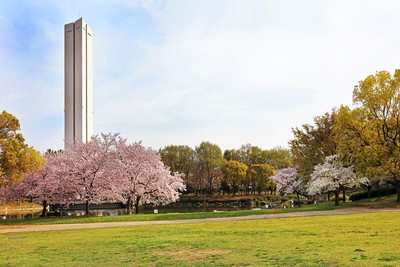 大仙公園 大阪府 の情報 ウォーカープラス