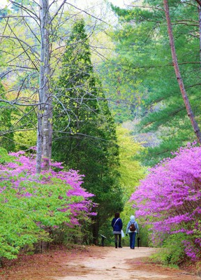 神戸市立森林植物園 兵庫県 の情報 ウォーカープラス
