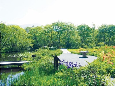 箱根湿生花園 神奈川県 の情報 ウォーカープラス