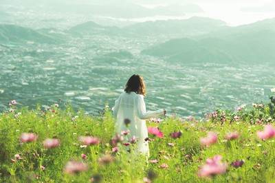 鷲ヶ峰コスモスパーク 和歌山県 の情報 ウォーカープラス