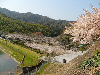 昭和池公園 福岡県 の情報 ウォーカープラス