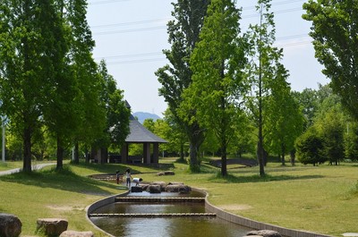 山田池公園 大阪府 の情報 ウォーカープラス