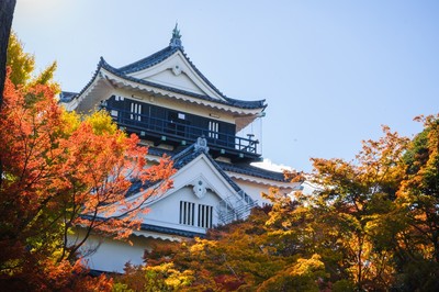 岡崎公園 愛知県 の情報 ウォーカープラス