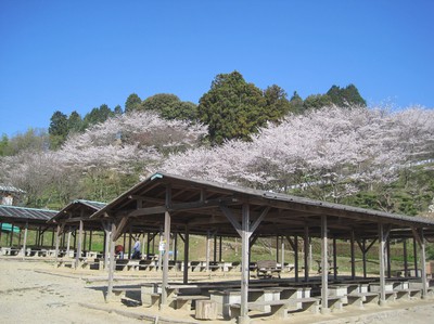 農業公園信貴山のどか村 奈良県 の情報 ウォーカープラス