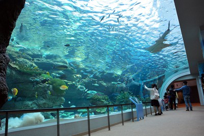 名古屋港水族館 愛知県 の情報 ウォーカープラス