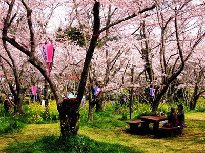 鶴舞公園 県立笠森鶴舞自然公園 千葉県 の情報 ウォーカープラス