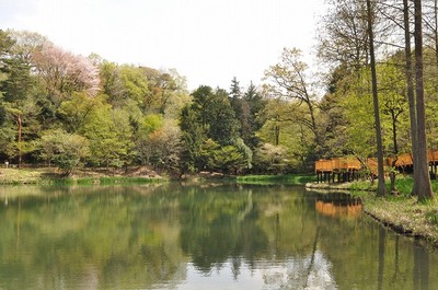 狭山公園 東京都 の情報 ウォーカープラス