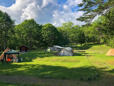 ポロト自然休養林キャンプ場 北海道 の情報 ウォーカープラス