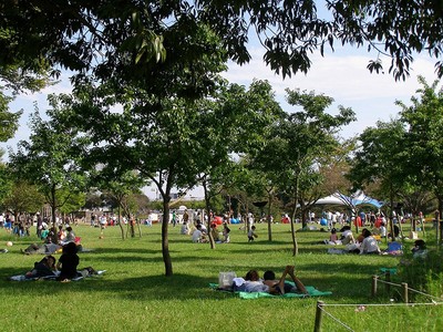 国営木曽三川公園 木曽三川公園センター 岐阜県 の情報 ウォーカープラス