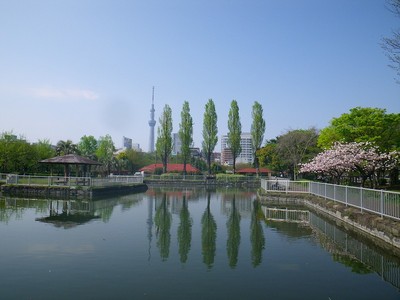 猿江恩賜公園 東京都 の情報 ウォーカープラス