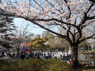 猿江恩賜公園 東京都 の情報 ウォーカープラス