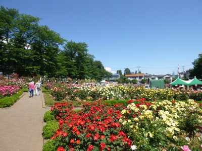 与野公園 埼玉県 の情報 ウォーカープラス