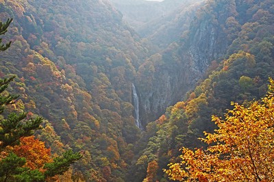 澗満滝展望台 長野県 の情報 ウォーカープラス