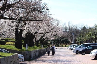 金沢市営陸上競技場 石川県 の情報 ウォーカープラス