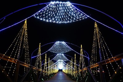 山中湖 花の都公園 山梨県 の情報 ウォーカープラス