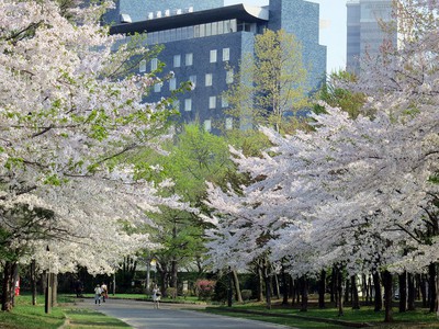 中島公園 北海道 の情報 ウォーカープラス