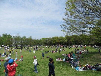 花畑園芸公園 福岡県 の情報 ウォーカープラス