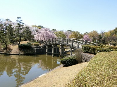 越谷市日本庭園 花田苑 埼玉県 の情報 ウォーカープラス