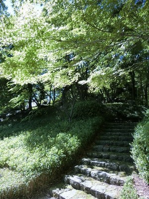 越谷市日本庭園 花田苑 埼玉県 の情報 ウォーカープラス