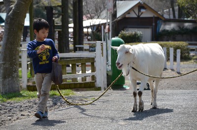 まかいの牧場 静岡県 の情報 ウォーカープラス